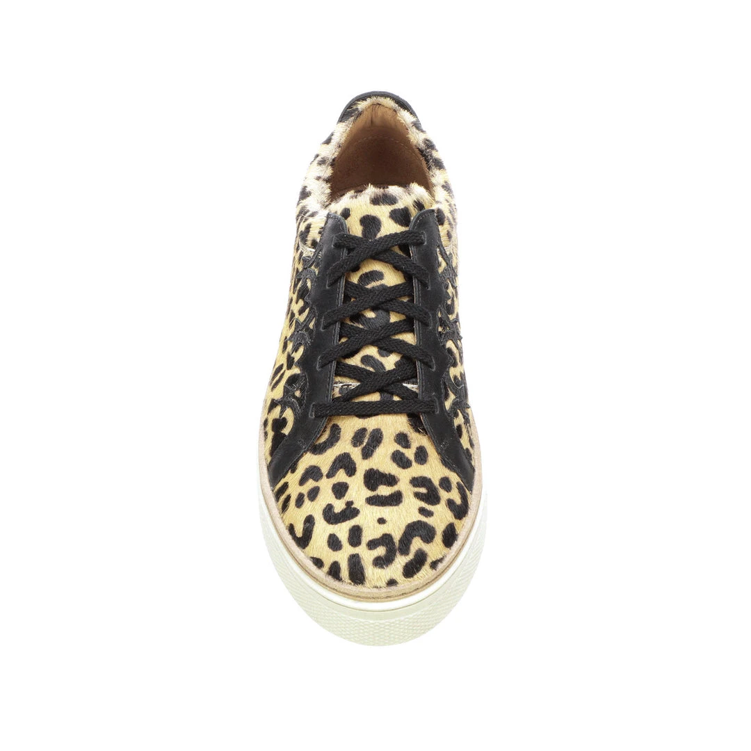 Lucchese-inc Saddle Shoe :: Leopard + Black Lucchese-inc Saddle Shoe :: Leopard + Black