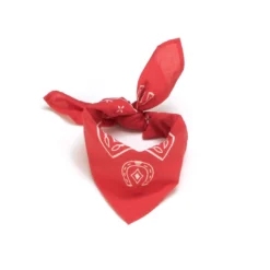 Lucchese-inc Western Bandana :: Red Other Accessories