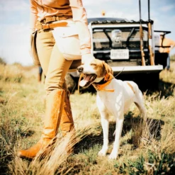 Flash Sale ๐ Lucchesse-inc Ladies High Top Snake Boot King Ranch Edition :: Whiskey ๐ 12 Lucchesse-inc Ladies High Top Snake Boot King Ranch Edition :: Whiskey