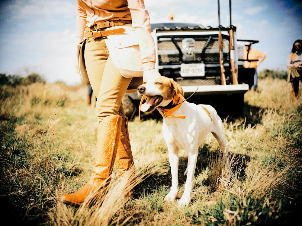 Flash Sale ๐ Lucchesse-inc Ladies High Top Snake Boot King Ranch Edition :: Whiskey ๐ 7 Lucchesse-inc Ladies High Top Snake Boot King Ranch Edition :: Whiskey