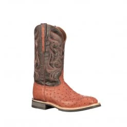 Lucchese-inc Rowdy Ostrich :: Cognac + Brown Men