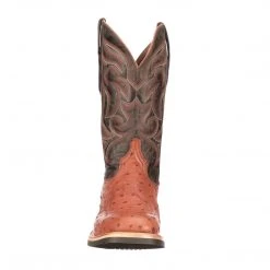 Lucchese-inc Rowdy Ostrich :: Cognac + Brown Men