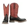 Lucchesse-inc Men Rowdy Hornback Caiman :: Black