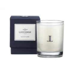 Lucchesse-inc Other Accessories Cactus Flower Candle :: White