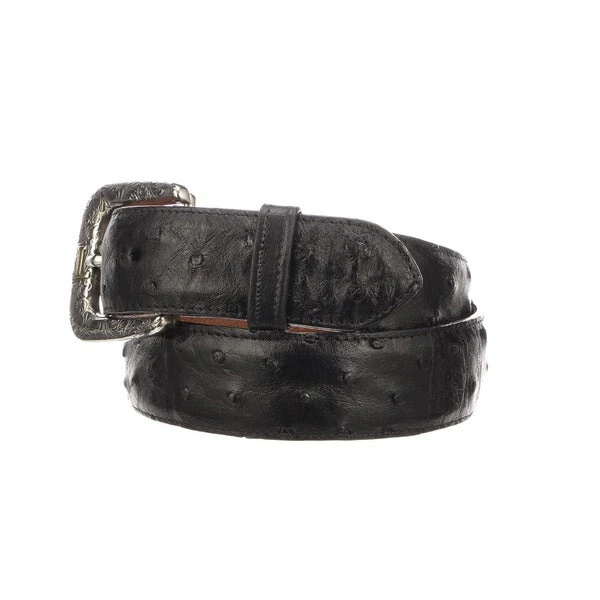Lucchese-inc Full Quill Ostrich :: Black Belts Lucchese-inc Full Quill Ostrich :: Black Belts