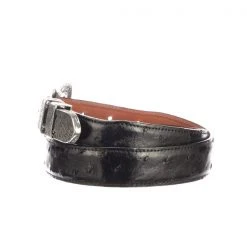 Lucchese-inc Full Quill Ostrich Tapered :: Black