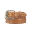 Lucchese-inc Full Quill Ostrich :: Cognac Belts
