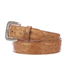 Lucchese-inc Full Quill Ostrich :: Cognac Belts