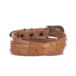 Lucchese-inc Belts Full Quill Ostrich Tapered :: Cognac