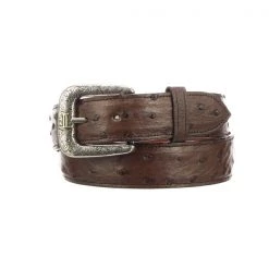 Lucchese-inc Belts Full Quill Ostrich :: Sienna