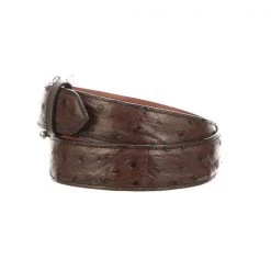 Lucchese-inc Belts Full Quill Ostrich :: Sienna