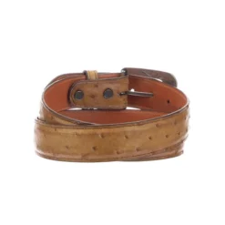 Lucchese-inc Full Quill Ostrich :: Tan