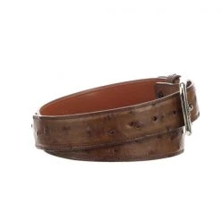 Lucchese-inc Belts Full Quill Ostrich :: Barnwood