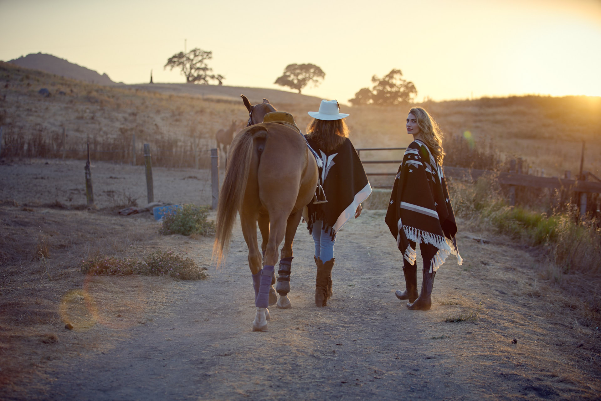 Gazebo Parts Direct Sales Store -Lucchese Sales 2024 15676503 1195583690518030 3797213251478039447 o